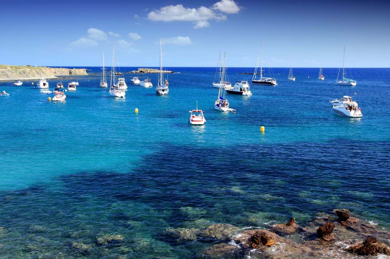 Diverse barche attraccate vicino a una spiaggia rocciosa dell'isola di Tabarca in una giornata di sole e con il mare cristallino di cui si intravede il fondo