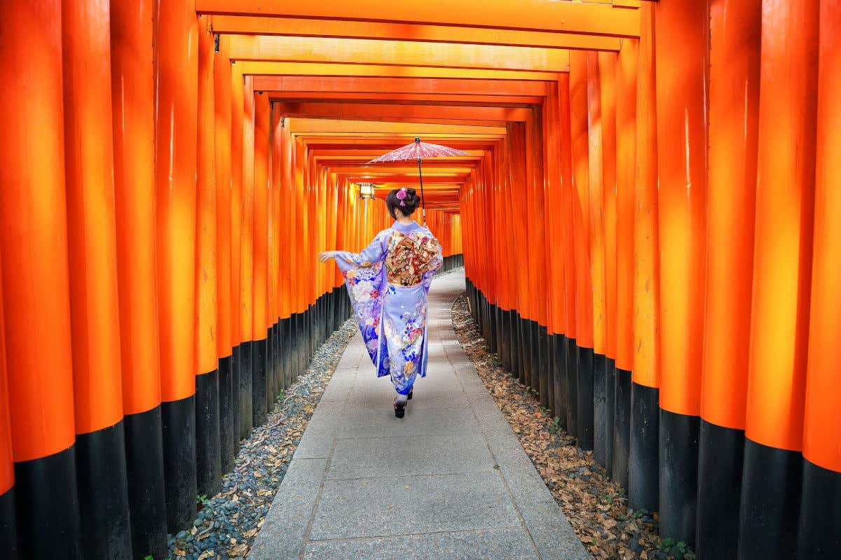 Una mujer de espaldas a la cámara vestida con un kimono y atravesando un sendero cubierto por los típicos torii