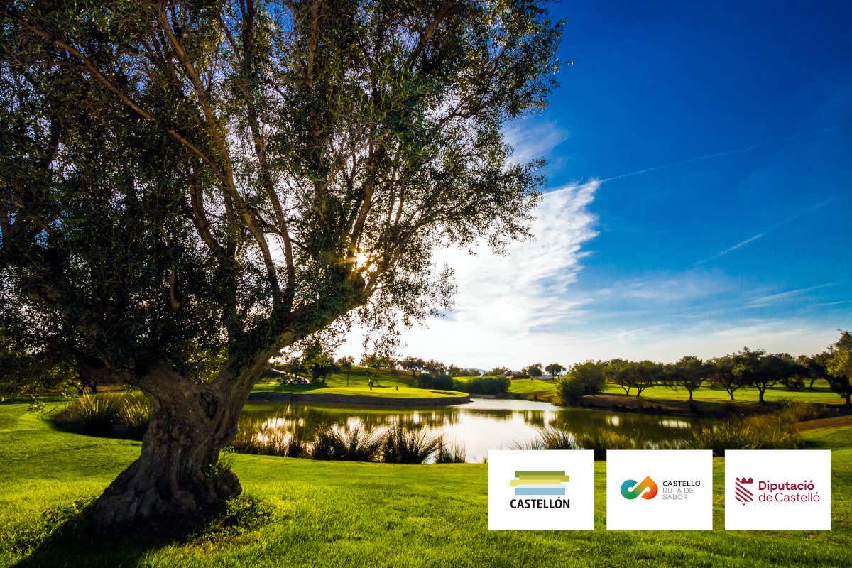 Lago de un campo de golf, donde se ve en la parte inferior derecha tres letreros de Castellón, la Ruta del Sabor de Castellón y la Diputación de Castellón