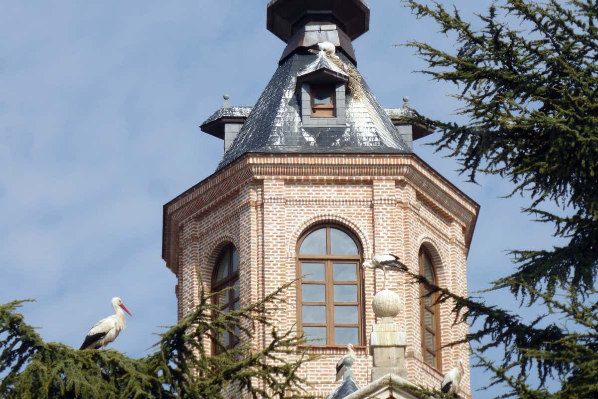 Cigüeñas en la cúpula de un convento