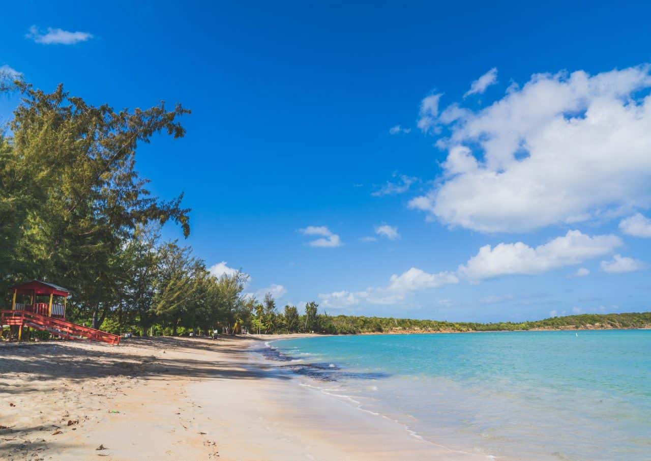 Una playa de arena blanca y vegetación