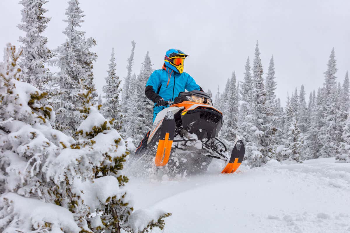 Una moto de nieve conducida por un hombre cubierto por ropas térmicas y atravesando un bosque de abetos completamente nevados