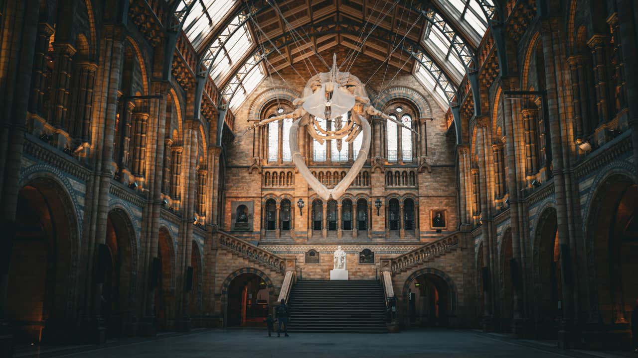 Sala central del Museo de Historia Natural de Londres, que evoca una catedral