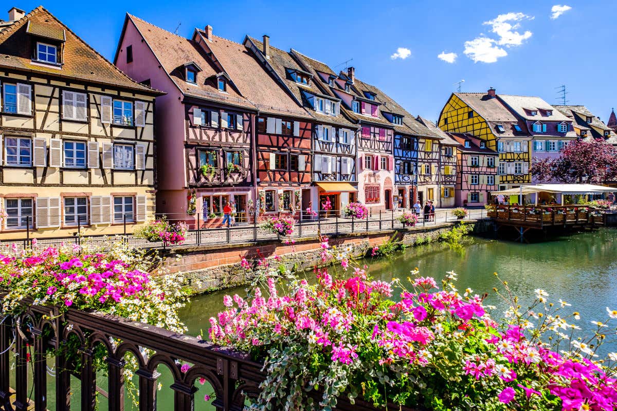 Un canal de Colmar con aguas cristalinas, vistas desde un puente decorado con flores y con vistas varias casas de colores con vigas de madera