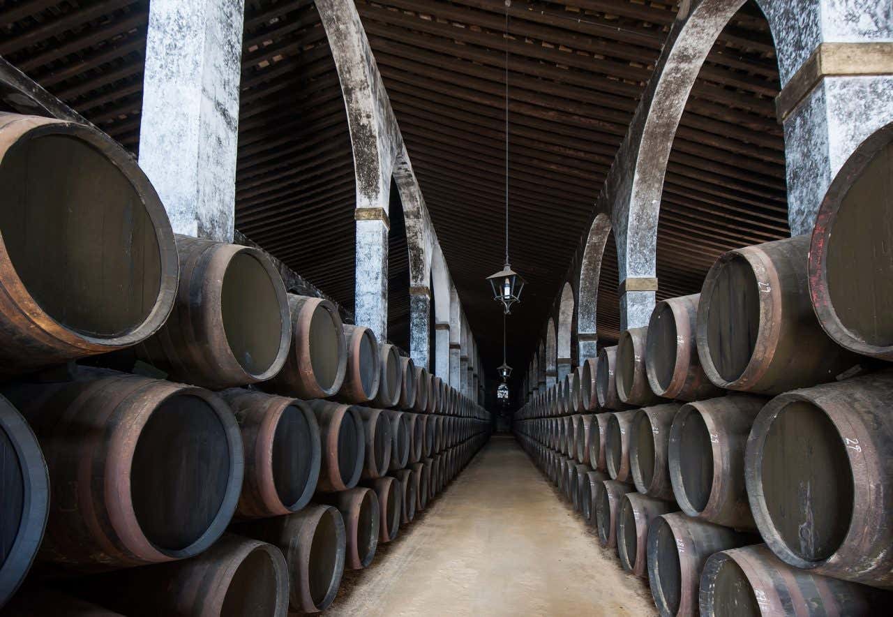 Um grande corredor de um armazém de barris de vinhos