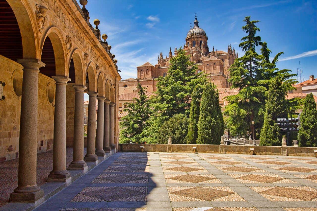 Salamanca Cathedral as seen from afar with trees in the foreground.