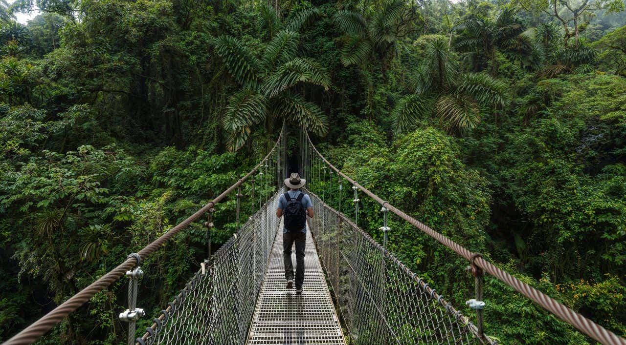 Uomo con zaino e cappello cammina su un ponte sospeso di metallo circondato da densa vegetazione tropicale in Costa Rica