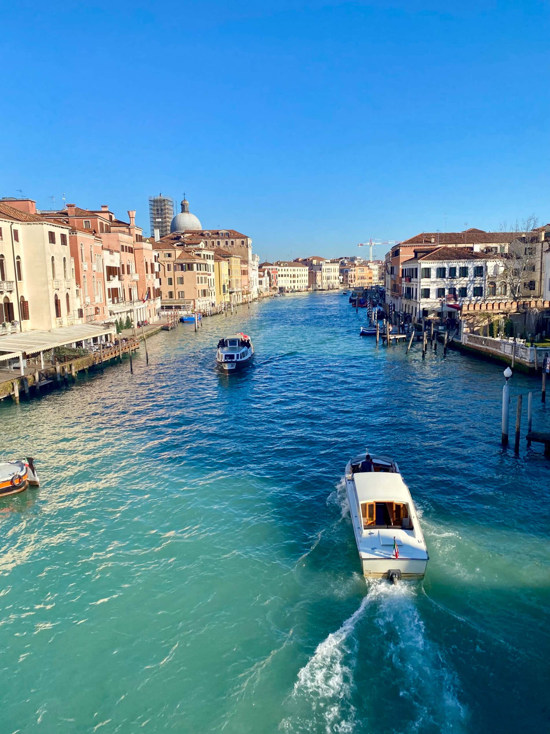 Tour dei bacari a Venezia: guida definitiva per sopravvivere (e divertirsi)