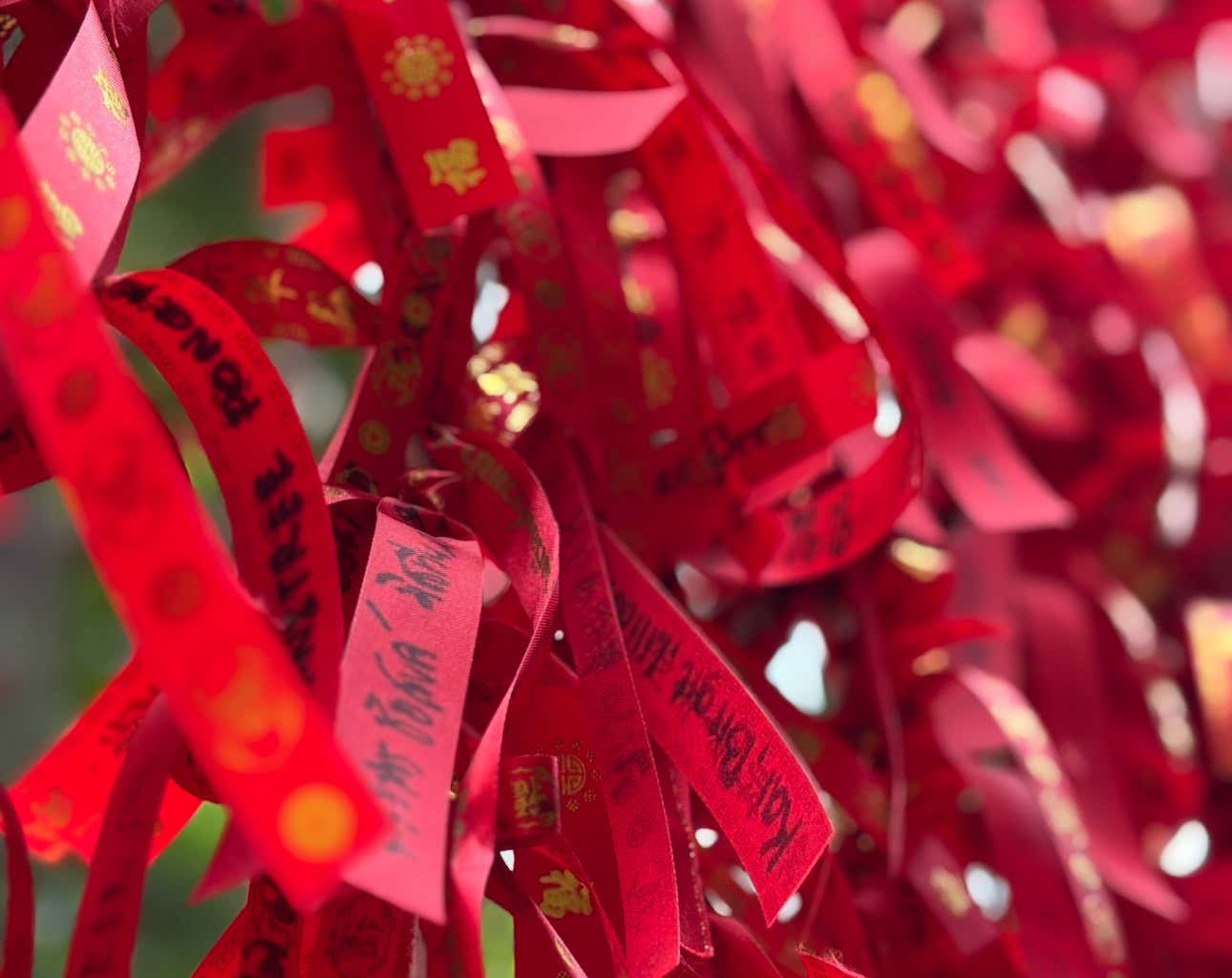 Bangkok et ses incontournables : que faire et que visiter