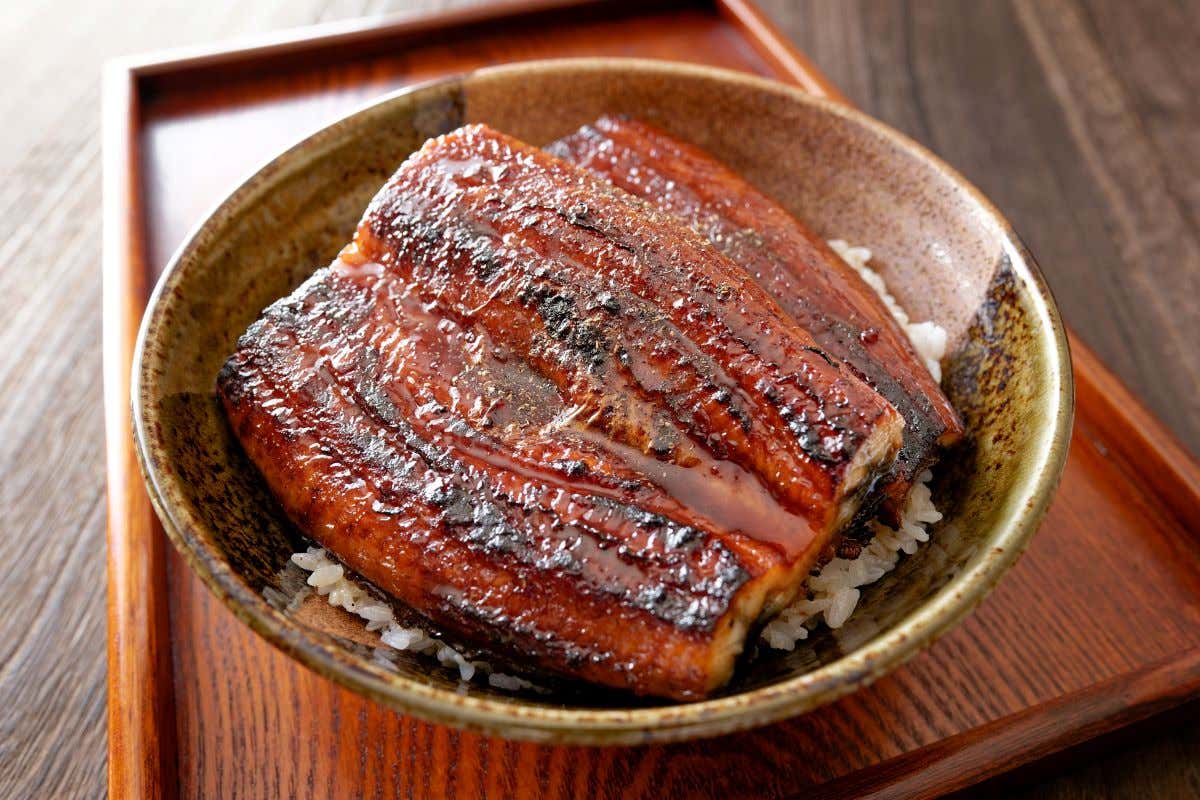 Detalle de un bol llamado Donburi con anguila