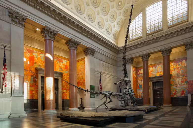 Intérieur du musée d'Histoire Naturelle avec des squelettes de dinosaures
