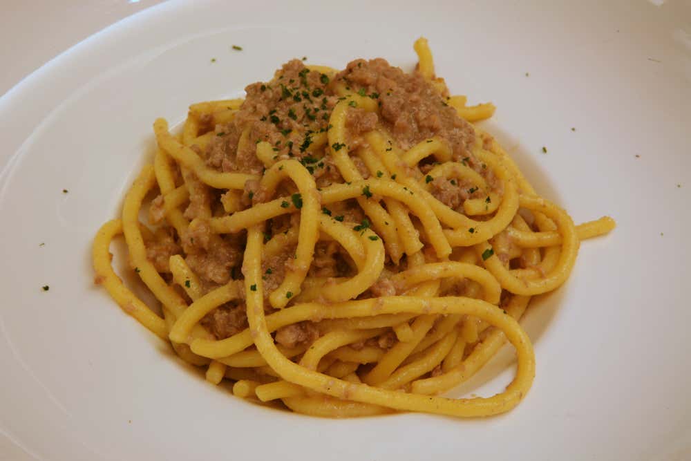 Un piatto di bigoli al ragù d’anatra: grossi spaghetti ruvidi (bigoli) conditi con un sugo denso e ricco di carne d’anatra tritata, dal colore marrone‑rossastro, con una spolverata di formaggio grattugiato sopra ed erbe aromatiche per guarnire
