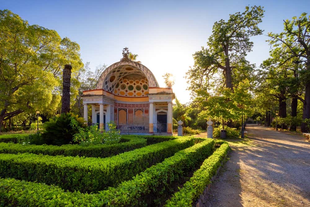 Sentiero fiancheggiato da alberi dal verde intenso nel parco cittadino di Villa Giulia, adiacente all'Orto botanico di Palermo