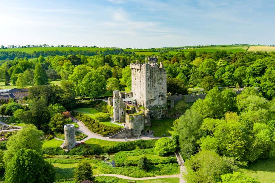 A view of Blarney Castle surrounded by green vegetation and trees as far as the eye can see.