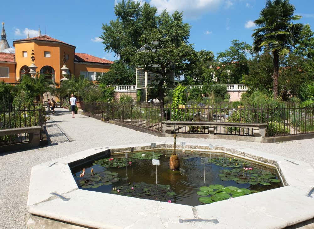 Fontana ottagonale nell’Orto Botanico di Padova: una vasca d’acqua chiara decorata con piante acquatiche, sullo sfondo si vedono alte siepi verdi e gli edifici storici del giardino.