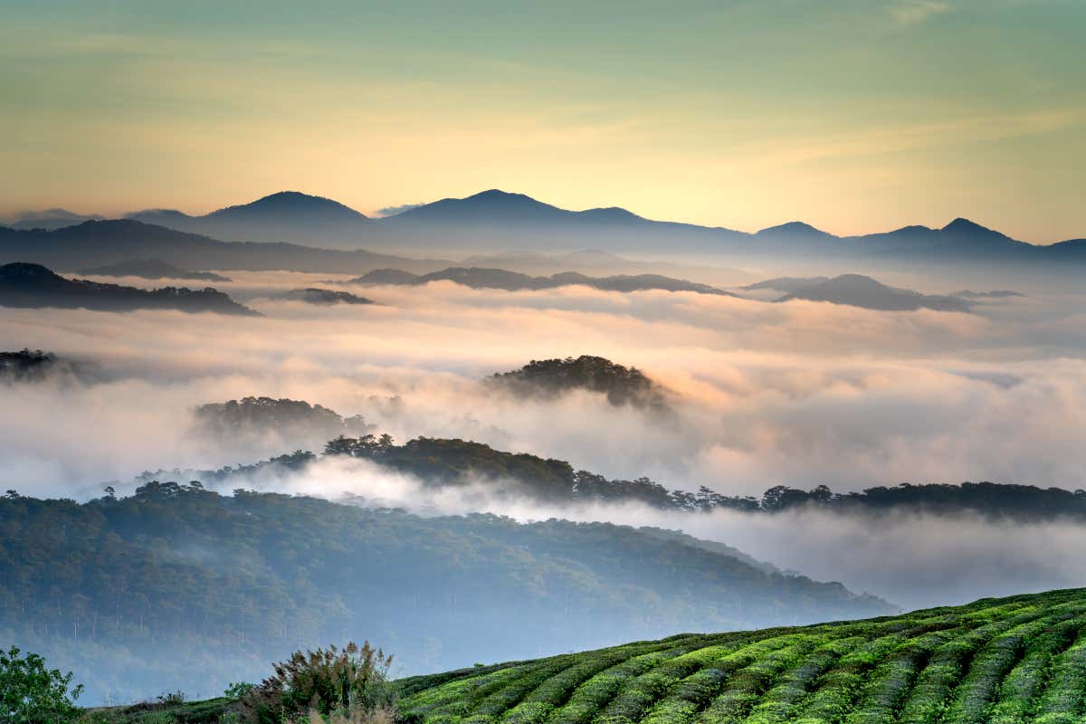 Paysage de la région de Da Lat avec de la brume sur la végétation en contrebas de la montagne, d'où est prise la photo