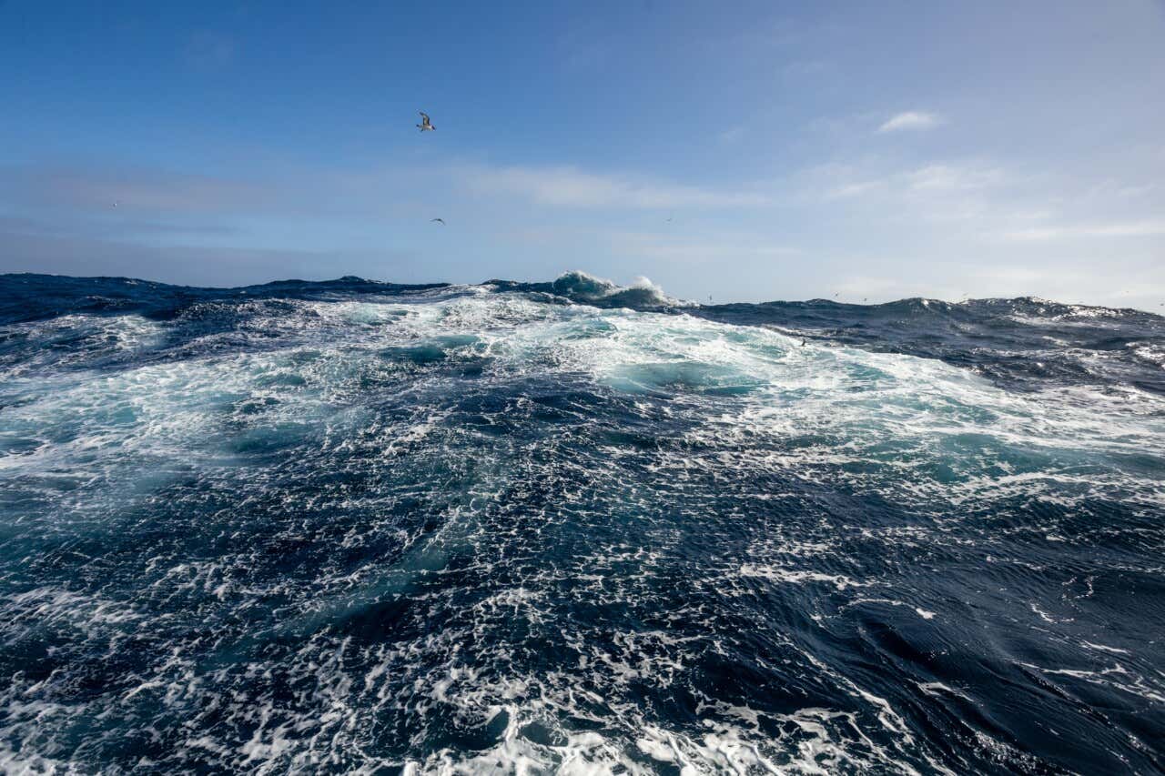 Olas fuertes en el Pasaje Drake, en la Antártida