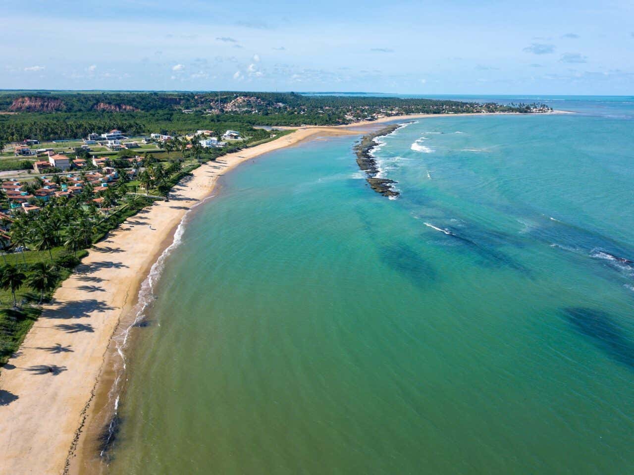 Vista aérea da praia do Francês, com o mar turquesa e frondosa vegetação na praia