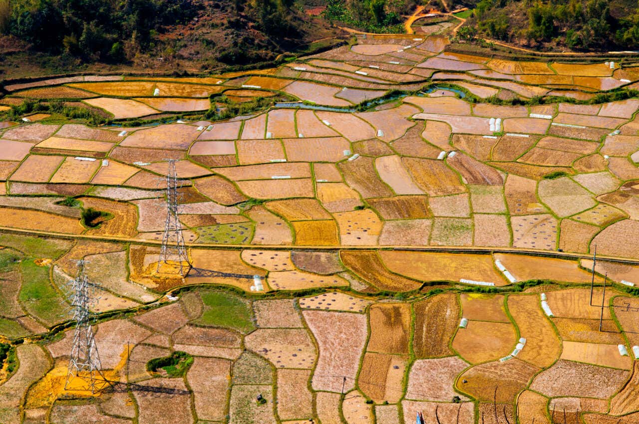 Vue sur des rizières innondées à Mai Chau