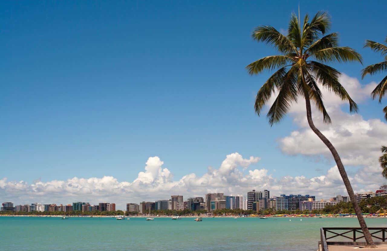 Panorâmica da praia de Pajuçara com o mar turquesa, a cidade ao fundo e um coqueiro em primeiro plano