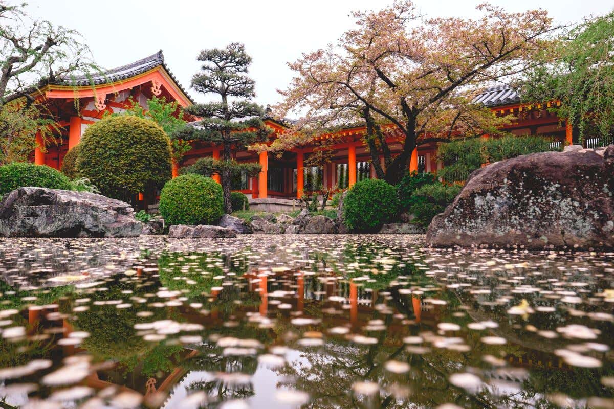 Detalle de un estanque con pétalos rosados en los jardines del templo Sanjusangen-do
