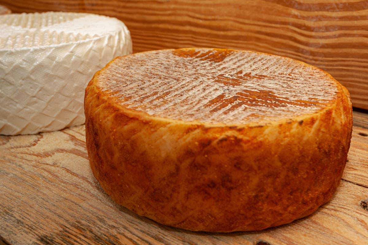 El queso majorero, un producto tradicional de la gastronomía de Fuerteventura