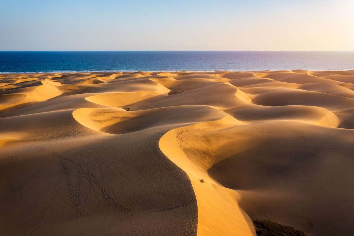 Paisaje de las dunas de Maspalomas en un día soleado