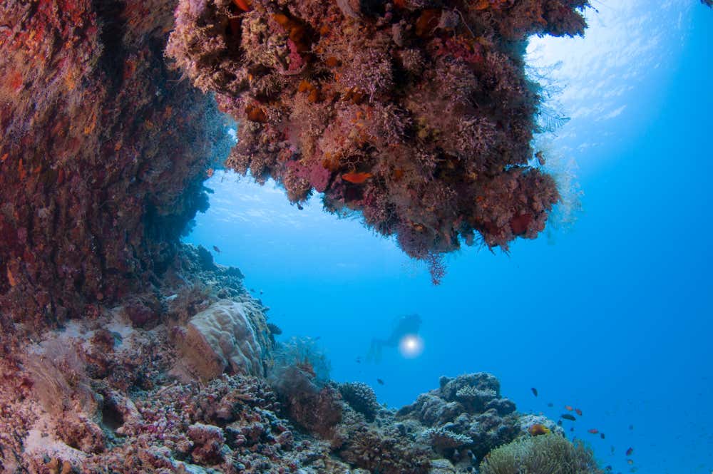 Vista submarina de una cavidad en el arrecife de coral de la isla de Vommuli en el Atolón de Dhaalu, con formaciones coralinas de colores, pequeños peces tropicales y la luz del sol filtrándose en el agua azul profundo
