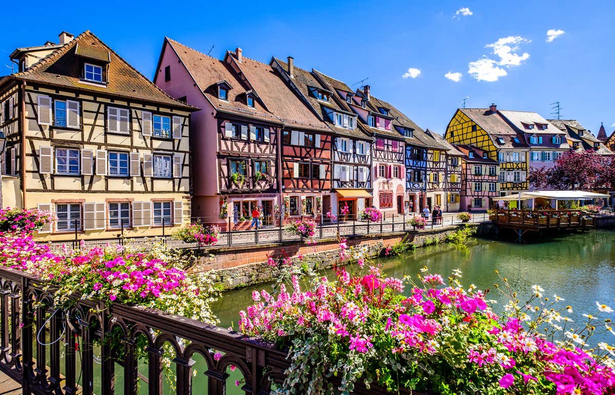 La Petite France à Strasbourg avec ses maisons à colombages, son canal, fleurs roses sur un pont au premier plan