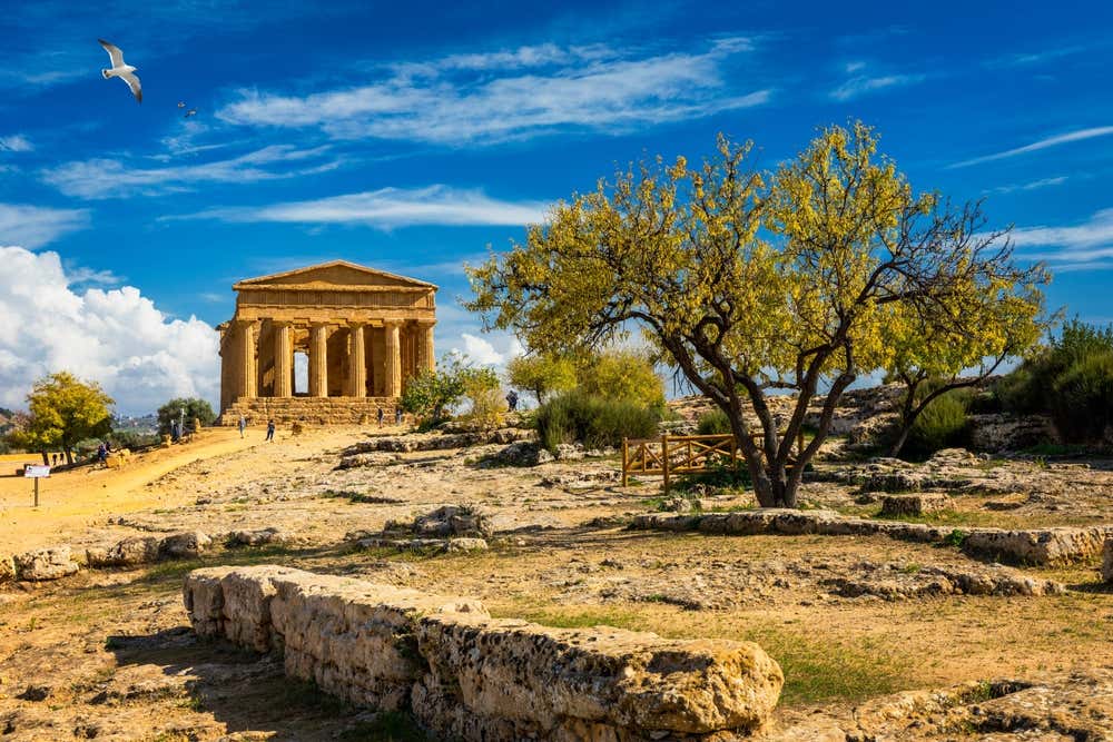 Tempio della Concordia nella Valle dei Templi di Agrigento, Sicilia, con antico tempio dorico in pietra dorata, albero secolare e resti archeologici in primo piano sotto un cielo azzurro con nuvole bianche e un gabbiano in volo