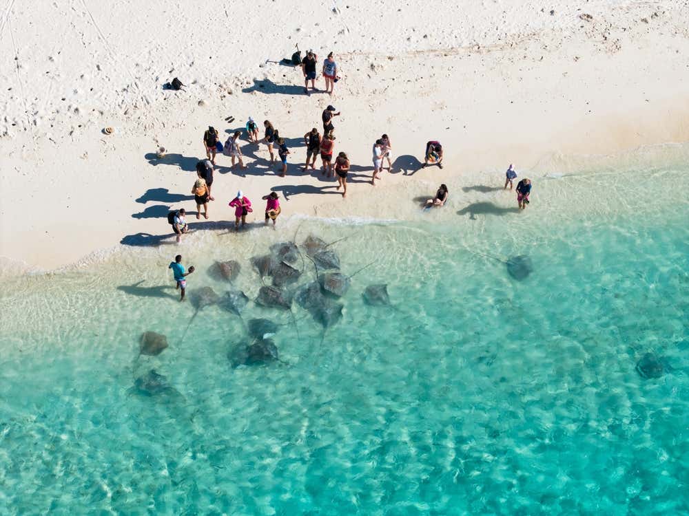 Vista desde arriba de la playa de arena blanca de la isla de Fulidhoo, en el Atolón de Vaavu, donde turistas en la orilla observan de cerca numerosas rayas que nadan en aguas poco profundas y cristalinas