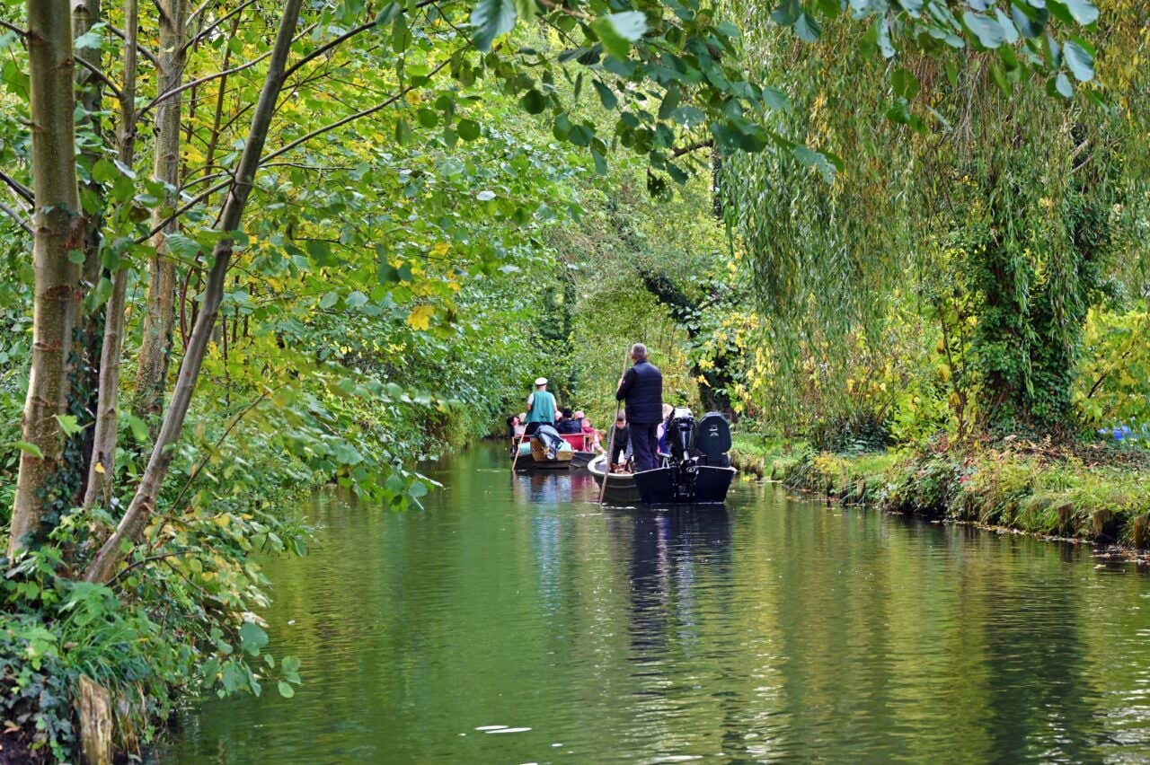 A view of a narrow, tranquil canal in the Spreewald biosphere reserve, where small wooden punting boats carrying passengers are guided through lush green forests and overhanging willow trees.