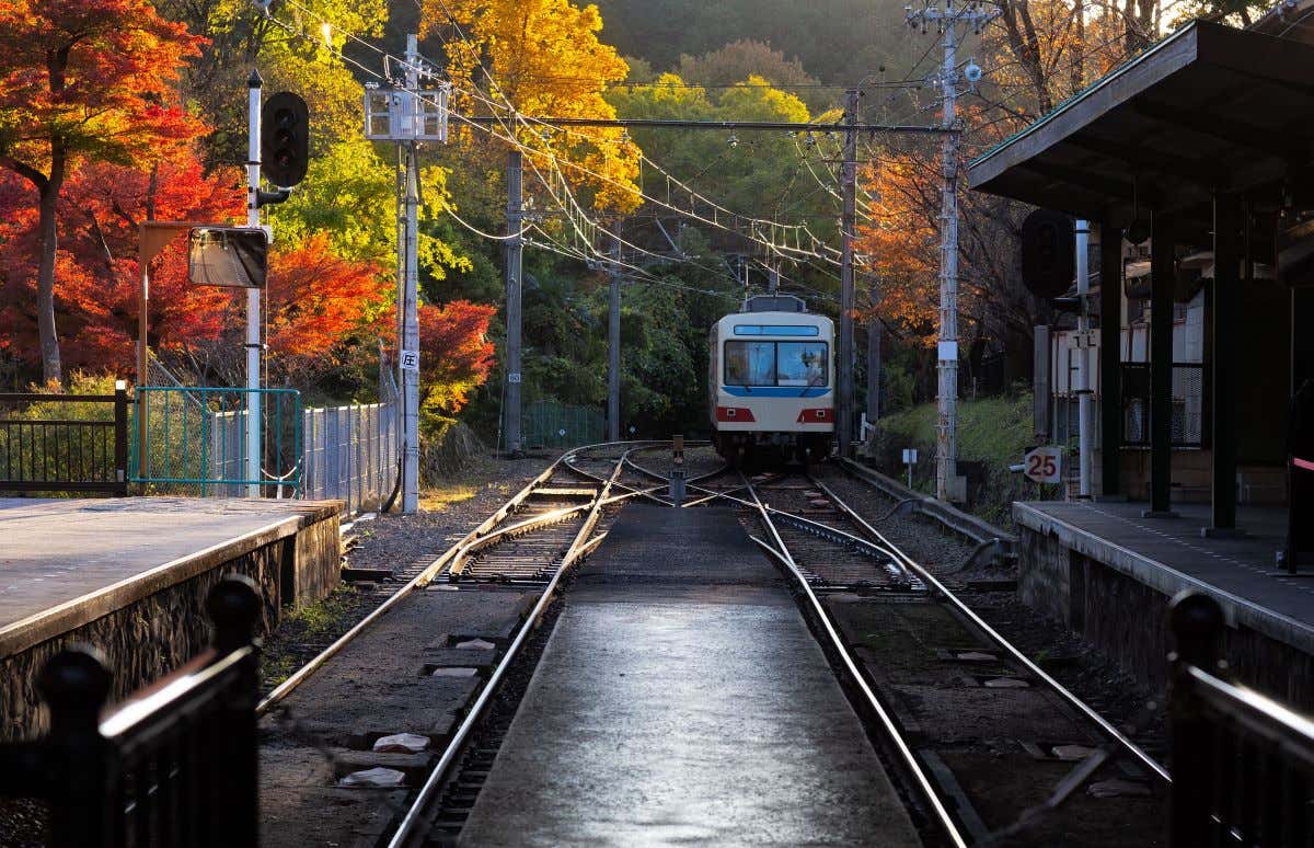 Tren local pasando por un paisaje otoñal en Japón