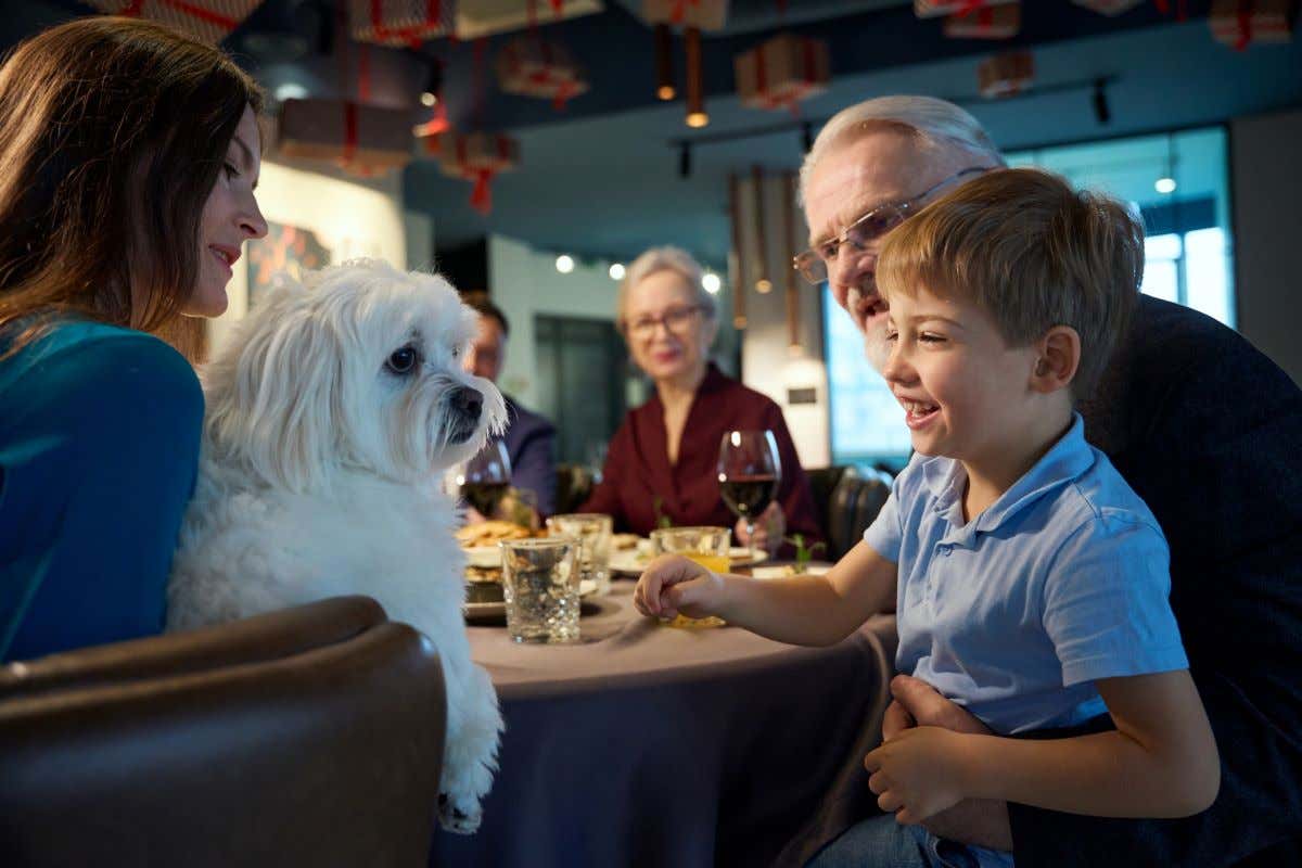 Una familia con un niño y un perro sentada en una mesa de un restaurante cenando