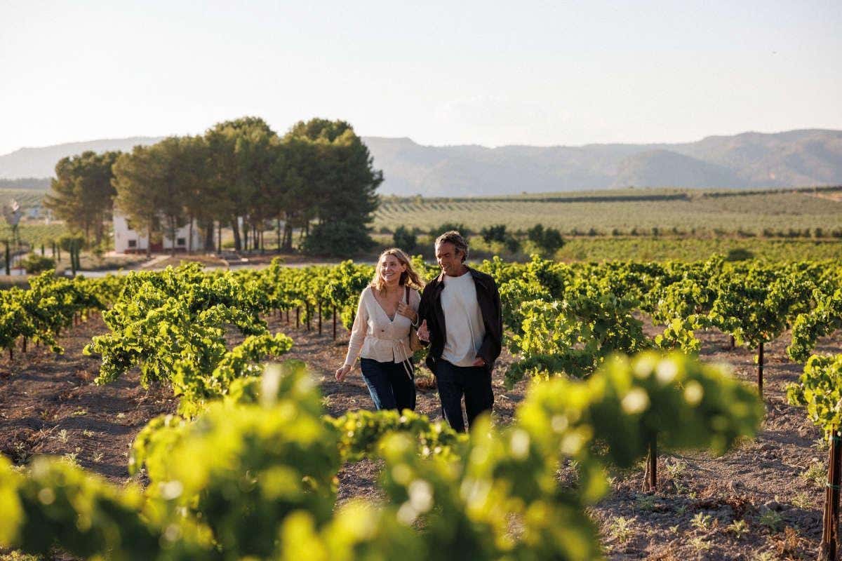 Una pareja cogida del brazo paseando por un campo de viñedos de la Comunitat Valenciana en Semana Santa