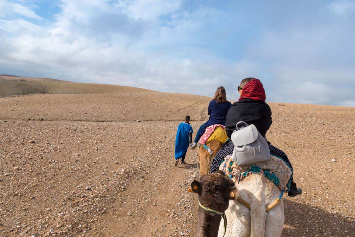 A camel ride through the Agafay Desert.