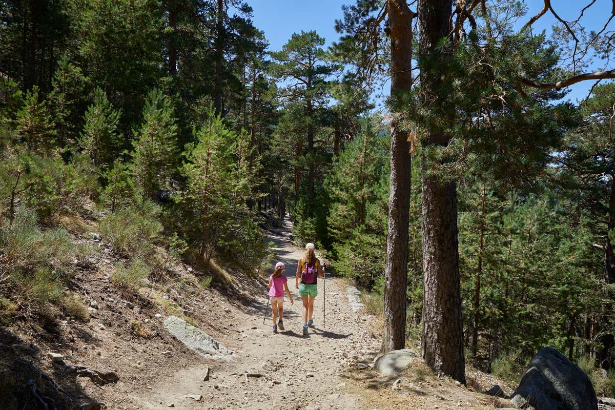 Deux personnes de dos sur un sentier au cœur de la Sierra de Guadarrama près de Madrid