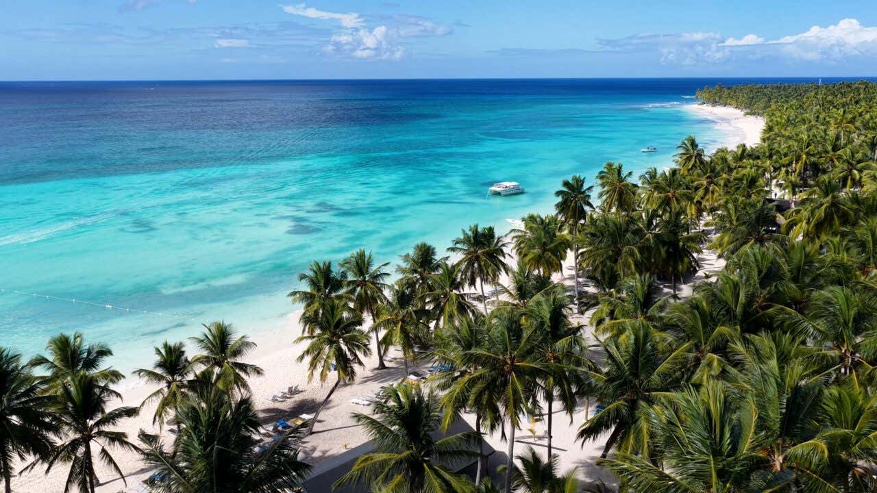 View from above of a beach in Punta Cana, DR, with a dense palm tree forest, white sand, and different shades of light to dark blue in the sea.