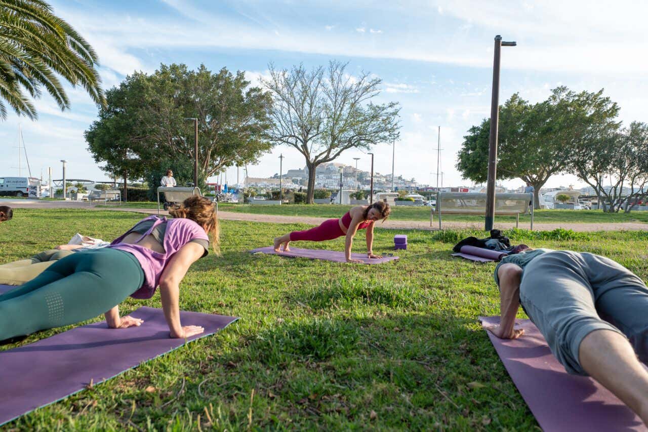 Personnes faisant du yoga en plein air dans l'herbe