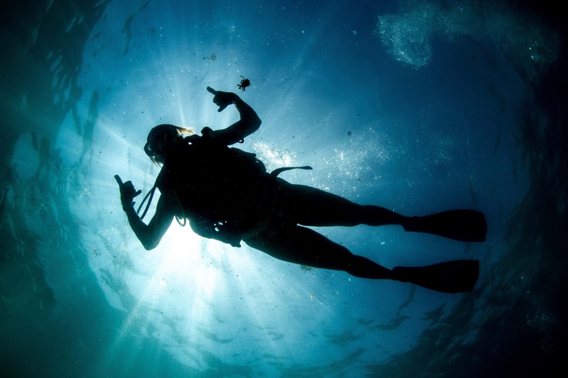 Um homem praticando mergulho em Maragogi