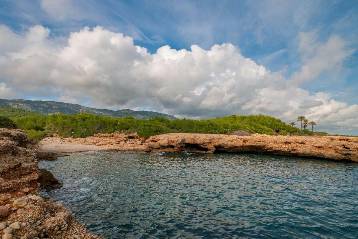 Vistas de pequeños acantilados con un frondoso bosque al fondo en una cala desierta