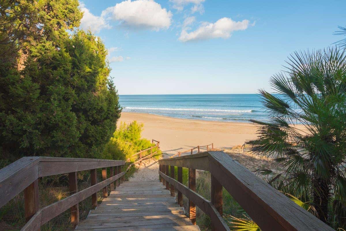 Pasarela con escaleras de madera que lleva a una playa desierta entre árboles