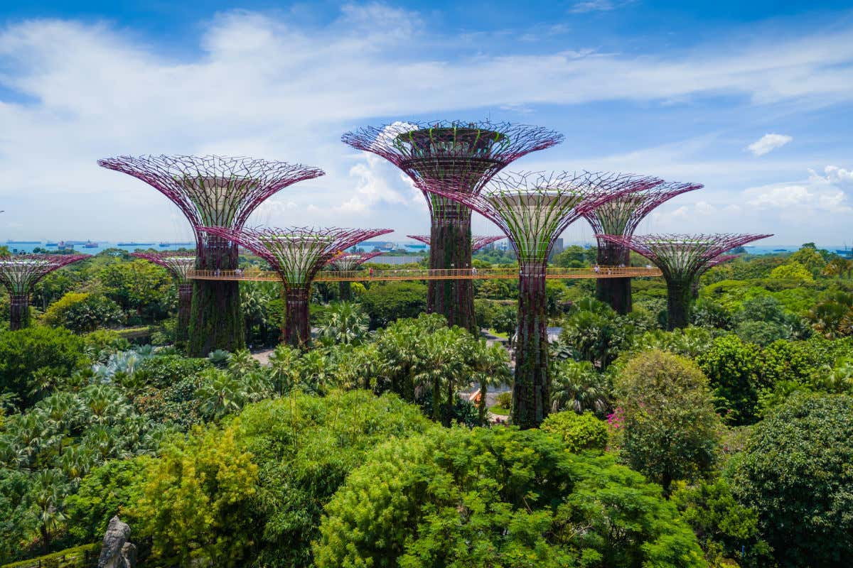 Los Jardines de la Bahía, uno de los lugares más icónicos de Singapur, repletos de árboles y plataformas de observación