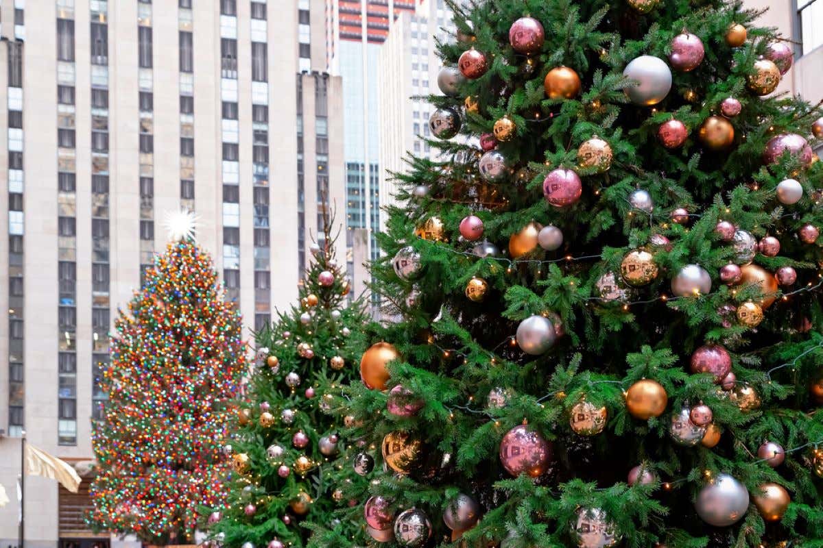 Decorated Christmas trees in the Rockerfeller Center in New York,