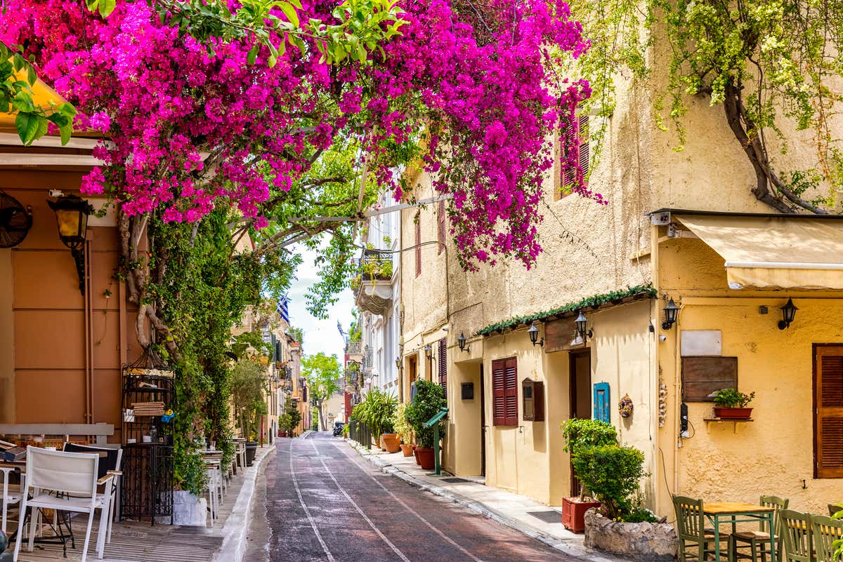 Une rue pavée dans la Vieille ville d'Athènes, façades jaunes ornées de fleurs roses et de plantes