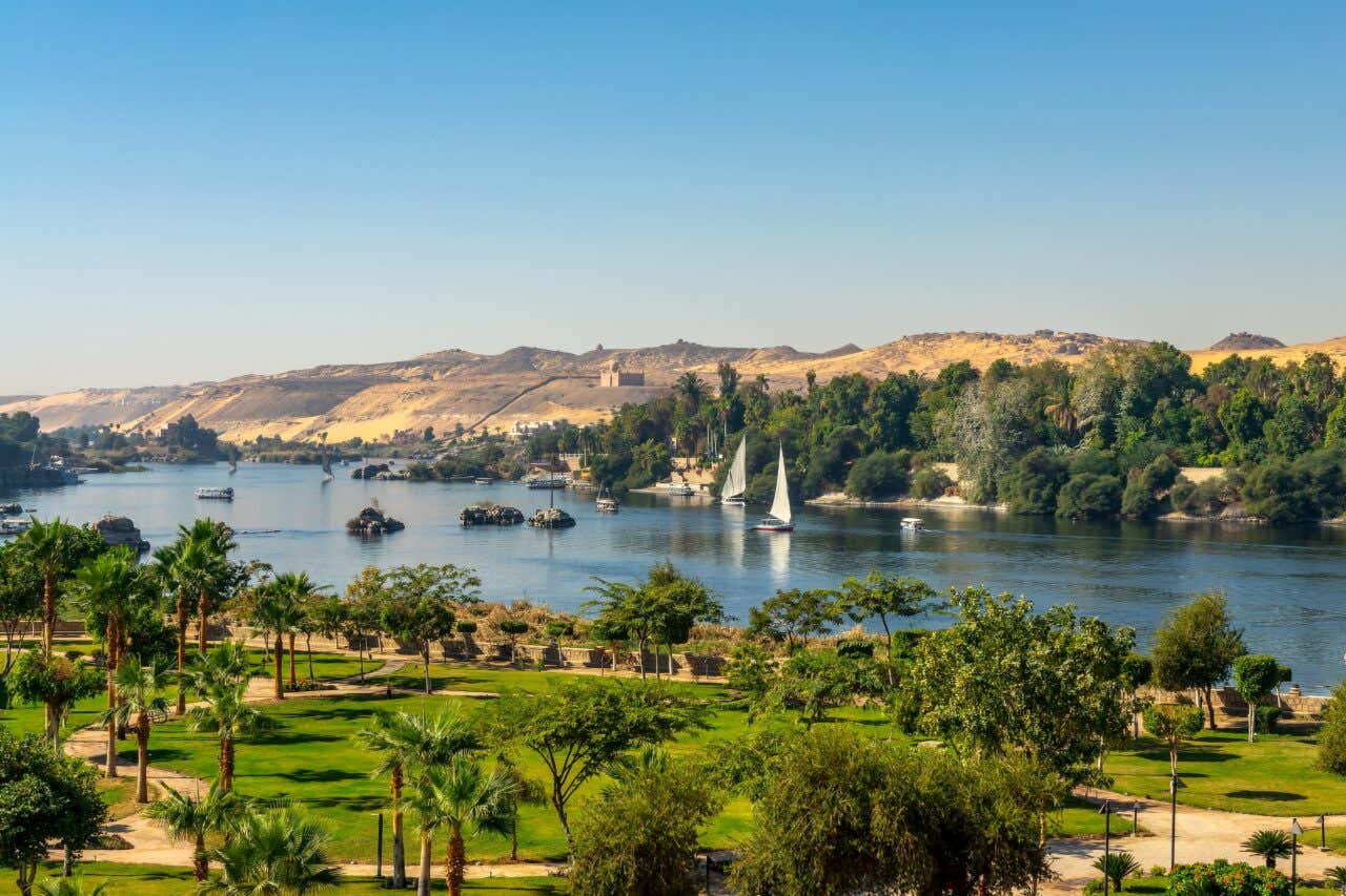 Vue panoramique du Nil bordé d'arbres verdoyants, un paysage exceptionnel à découvrir lors d'une croisière en Égypte