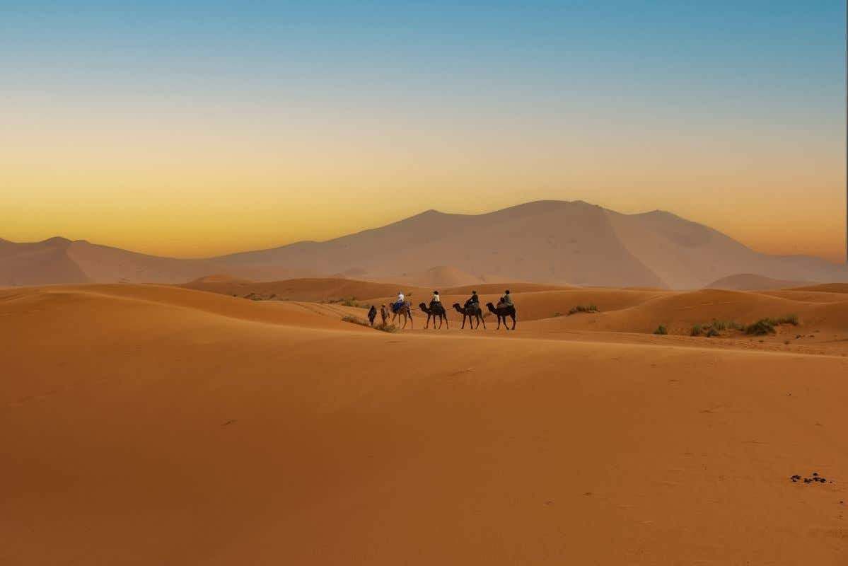 Vista de las dunas del desierto de Merzouga al atardecer donde se ve una cabalgata de camellos