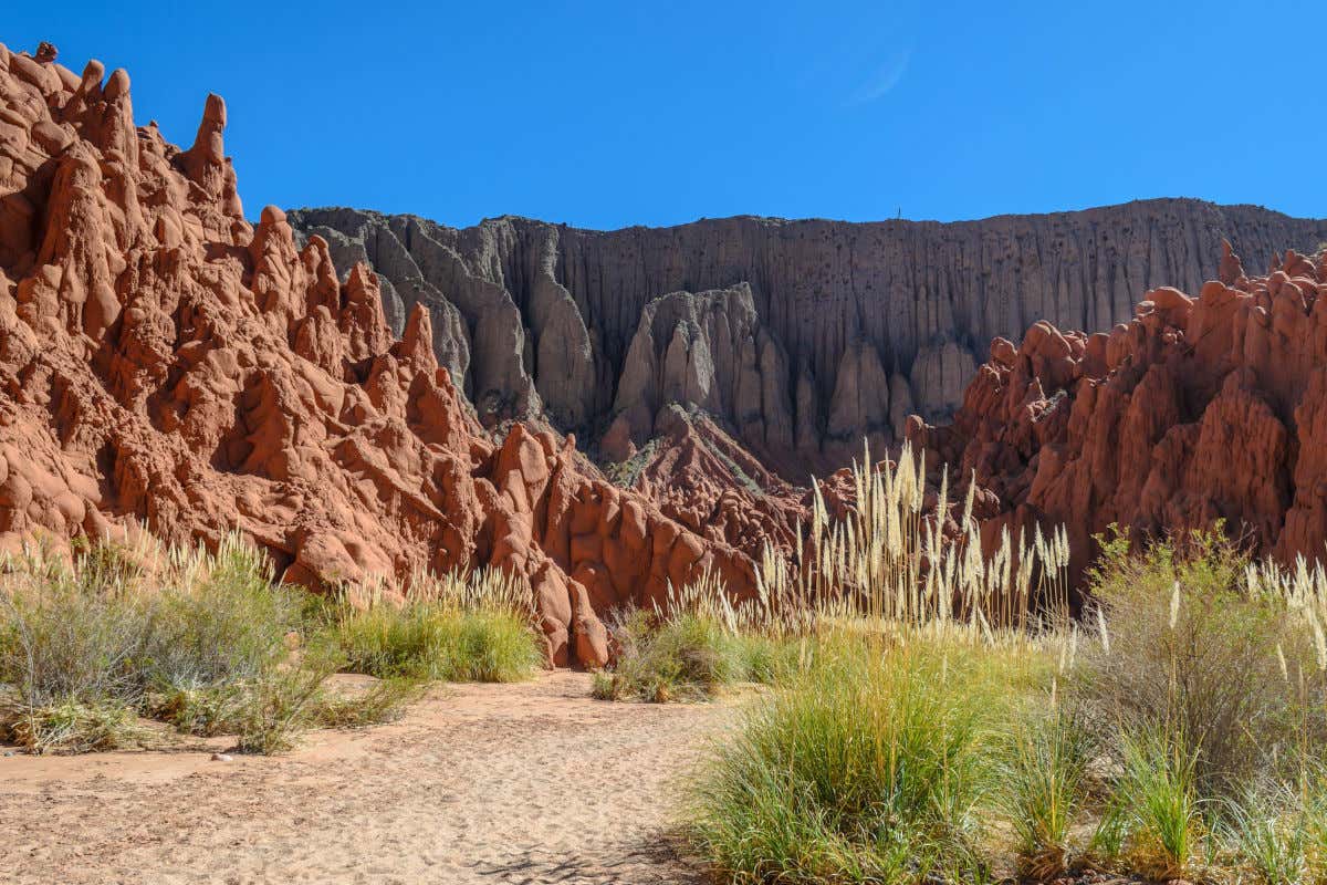 Acantilados de piedra rojiza en un paisaje desértico de Cafayate