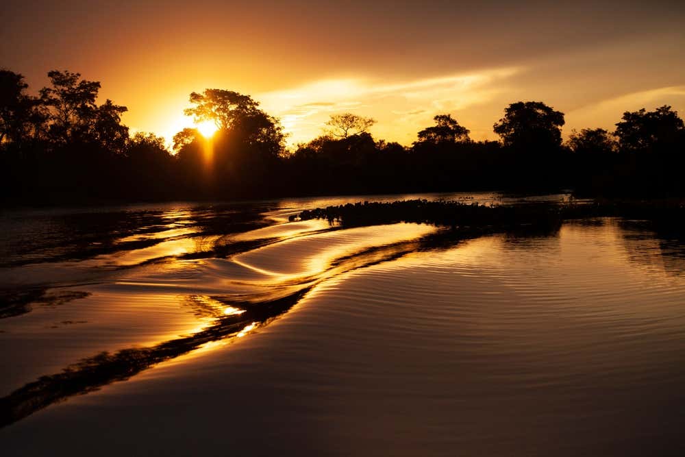 Atardecer en Pantanal
