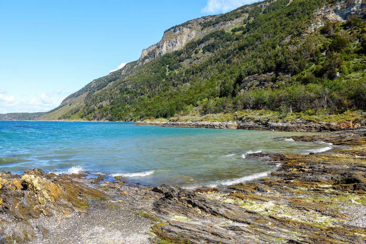 Panoramic view of Lapataia Bay in Tierra del Fuego National Park, a rugged coast ringed by high mountains and forest